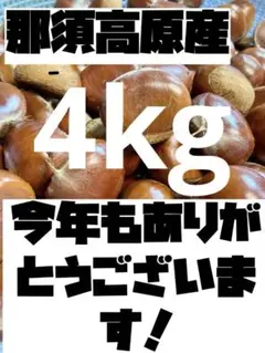 NO.9　 即配送４KG❣️毎年売り切れL〜２Lサイズ！那須高原産山栗　栗