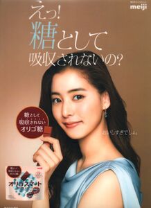 明治 オリゴスマート　新木優子　A4クリアファイル　中古　『爪あと、擦り傷多数あり』