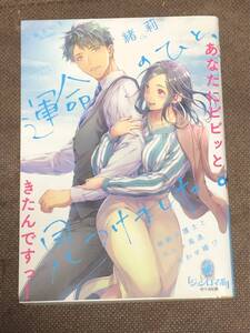 オパール文庫　ジョシロマ系★『運命のひと、見つけました。敏腕弁護士とめちゃ高速しあわせ婚！？』★緒莉(イラスト:小島 きいち)※送:185