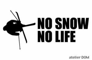 NO SNOW NO LIFE ステッカー スキー3 (Sサイズ) フリースタイル モーグル ハーフパイプ スキー SKI シール