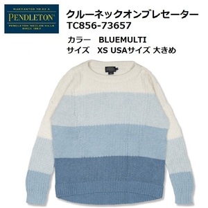 定価27,500円 PENDLETON ペンドルトン クルーネックオンブレセーター XS 