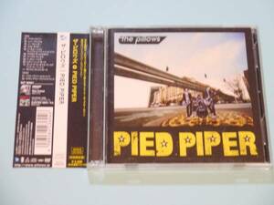 ★the pillows PIED PIPER 初回DVD付★