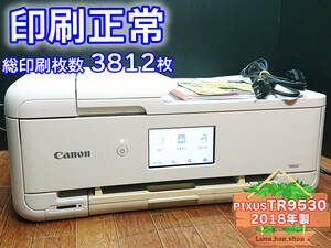 ☆印刷正常☆ 1円スタ PIXUS TR9530 キャノン Canon インクジェット複合機 プリンター ホワイト / 2018年製 中古 (管：0904DFRZQ)