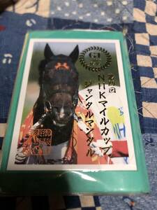 競馬東京競馬場NHKマイルカップジャンタルマンタルウイナー御駿印新品未使用未開封品