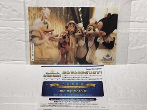 公式 懸賞 当選 非売品 写真 東京 ディズニーランド TDL TDR 限定 スペシャルフォト チップ デール ドナルド デイジー ミッキー ミニー