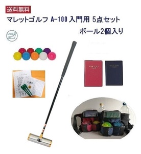 マレットゴルフ スティック 5点セット 入門用 A100 認定品 送料無料 スタートセット付 シャフト80cm