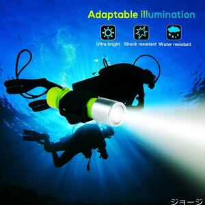 ShinePick ダイビングライト LED水中懐中電灯 水中ライト LED 18mm*65.0mm 電池 1100LM 水陸両用