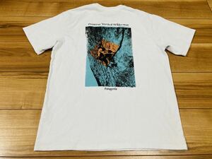 patagonia パタゴニア p6 グラフィックtシャツ 半袖tシャツ オーガニックコットン　２０２１年製 ＷＨＩ　ＸＳサイズ　美品　厚手