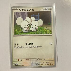 ポケモンカード ワッカネズミ　ずっこけ