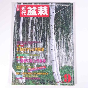 月刊 近代盆栽 No.143 1989/9 近代出版 雑誌 盆栽総合誌 園芸 ガーデニング 植物 特集・針金外しと再整姿 読者の誌上作風展 ほか