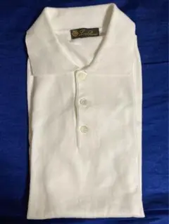 Loro piana (cotton polo shirt)