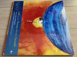 CALM 2LP「MOONAGE ELECTRIC ENSEMBLE 」