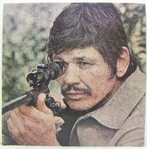 LP,チャールズブロンソンの世界　CHARLES BRONSON 狼の挽歌　テキサスの四人　独立騎兵隊 他