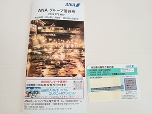 ☆送料無料☆最新2025年11月30日まで☆ANA 株主優待 優待券 割引券