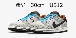 30cm Nike SB Dunk Low Pro Electric Safari Phantom and Black US12 ナイキ ダンク エレクトリックサファリYuto Horigome 堀米 FZ1233-002