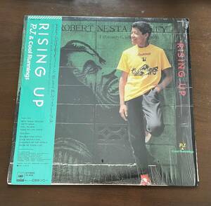 帯付き！！国内盤　R.J. & COOL RUNNINGS　／RISING UP 　Roots Reggae★レコ番号：28AH 1738