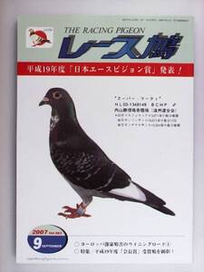 レース鳩 THE RACING PIGEON 2007年9月 ハトはと