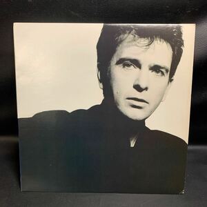 Peter Gabriel SO アナログレコード　LP