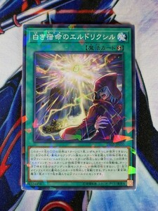 ◆B274◆遊戯王OCG・白き宿命のエルドリクシル ノーマルパラレル・DBSS-JP030◆