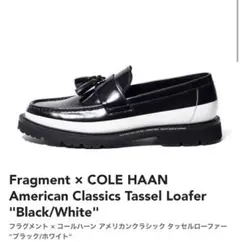 25.5 Fragment フラグメント コールハーン  タッセルローファー