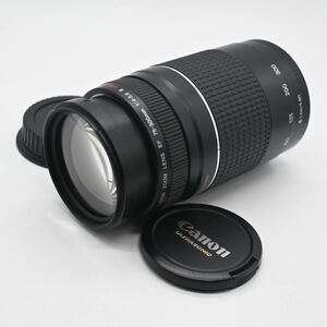 【完動良品】Canon Zoom Lens EF 75-300mm F4-5.6 III USM AF Lens 望遠 ズームレンズ キヤノン EF 