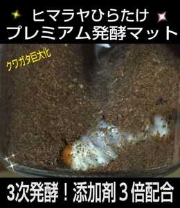 クワガタ幼虫を入れるだけ！　便利！800mlボトル入プレミアム3次発酵マット　　抜群の栄養価で大きくなります！　ミヤマ・ノコギリにお薦め