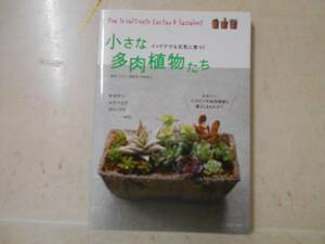 即決　小さな多肉植物たち―インドアでも元気に育つ!