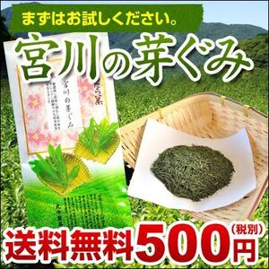 丸中製茶 伊勢茶 宮川の芽ぐみ１００ｇメール便送料無料 （ 送料無料 茶葉 三重県産 日本茶 煎茶 緑茶 ）