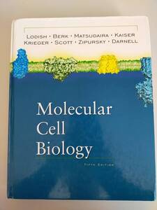 Molecular Cell Biology 第5版　Harvey Lodish Arnold Berk Paul Matshdaira Chris A.Kaiser Mtthew P.Scott S.Lawrence Zipursky洋書