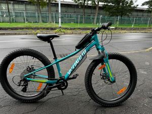  スペシャライズド SPECIALIZED ディスク式　24×2.8 マウンテンバイク　自転車　子供　ジュニア　超レア　リップロック24 札幌手渡し　