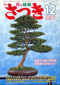 【月刊さつき研究】2011.12 ★ 盆養木の魅力再発見 / 取り木・呼び接ぎ / 休眠期の栽培のコツ