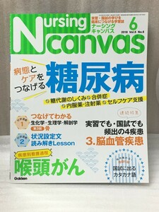 送料無料　Nursing Canvas (ナーシングキャンバス) 2018年 06 月号 糖尿病