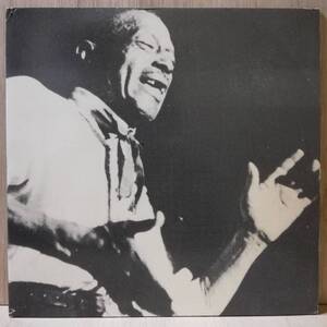 LP - SON HOUSE - MONO VOL.2 (1964 - 1974) - PRIVATE RECORDS - 99 COPIES - *1