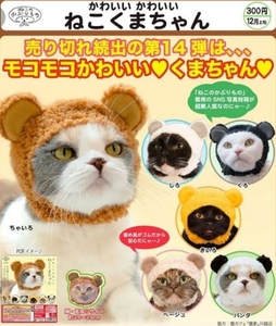 ねこのかぶりもの かわいいねこくまちゃん 全6種類 新品 帽子 小型犬 ブライス 人形 ぬいぐるみ　カスタムドール 洋服 衣裳 コスチューム