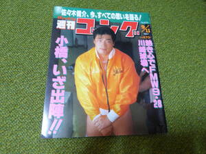 雑誌●週刊ゴング　No.679　1997年9月11日号　日本スポーツ出版社