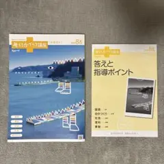 【2024年】進研ゼミ　考える力プラス講座　3年生8月号