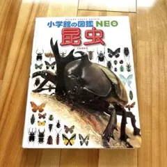 小学館図鑑NEO昆虫