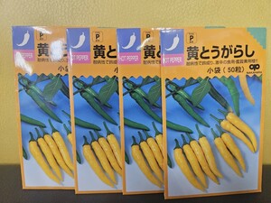 とうがらし種　黄とうがらし　50粒×４袋　未開封有効期限切れ