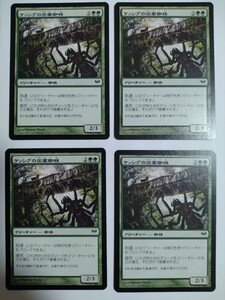 MTG マジックザギャザリング ケッシグの出家蜘蛛 日本語版 4枚セット