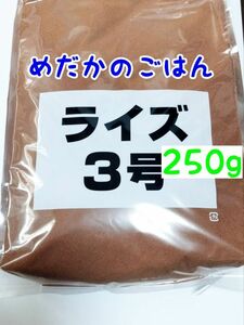 めだかのごはん ライズ3号 250g リパック品 グッピー 熱帯魚 めだか 金魚