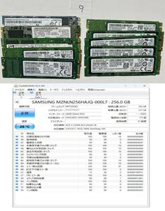 9 - ジャンク扱い 各種 256GB SSD 2280仕様 10枚まとめて M.2 2280 SATA SSD