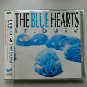 ☆帯付き美品☆ THE BLUE HEARTS TRIBUTE