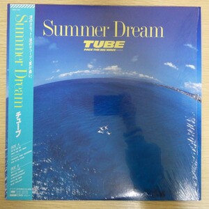 LP0958☆帯付 / シュリンク「TUBE / Summer Dream / 28AH-2187」美品