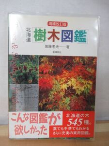 A4△北海道・樹木図鑑 佐藤孝夫 亜瑠西社 2000年 自生種 導入樹種 園芸種 実用図鑑 220420