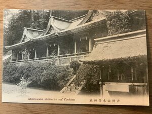 PP-7070 ■送料無料■ 奈良県 大和吉野山水分神社 建築物 建物 神社 寺 宗教 風景 景色 絵葉書 写真 古写真/くNAら