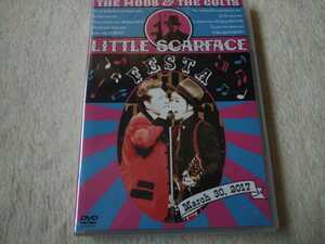 DVD THE MODS /THE COLTS LITTLE SCARFACE FESTA　未使用　 ザ モッズ　ザ コルツ　