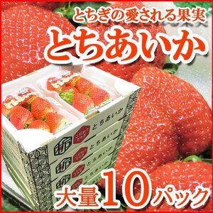 【Good】たっぷり10パック入り！大量5箱！栃木産オリジナル 新品種 いちご『とちあいか』ご予約