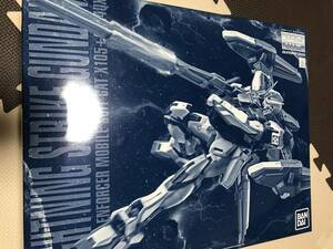 PB プレミアムバンダイ 限定 MG 1/100 ライトニングストライクガンダム Ver.RM 新品未開封　キャラホビ C3