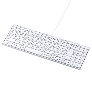 USBスリムキーボード ホワイト 薄型＆コンパクト テンキー付き SKB-SL17WN サンワサプライ 送料無料 新品