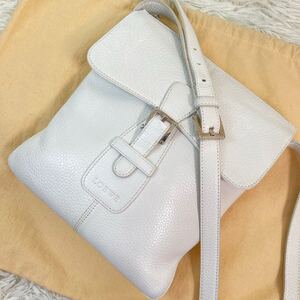 1円【極美品・極希少】LOEWE ロエベ ショルダーバッグ コサッシュ斜め掛け ボディ レザー 本革 フラップ メンズ ビジネス 白 ロゴ型押し